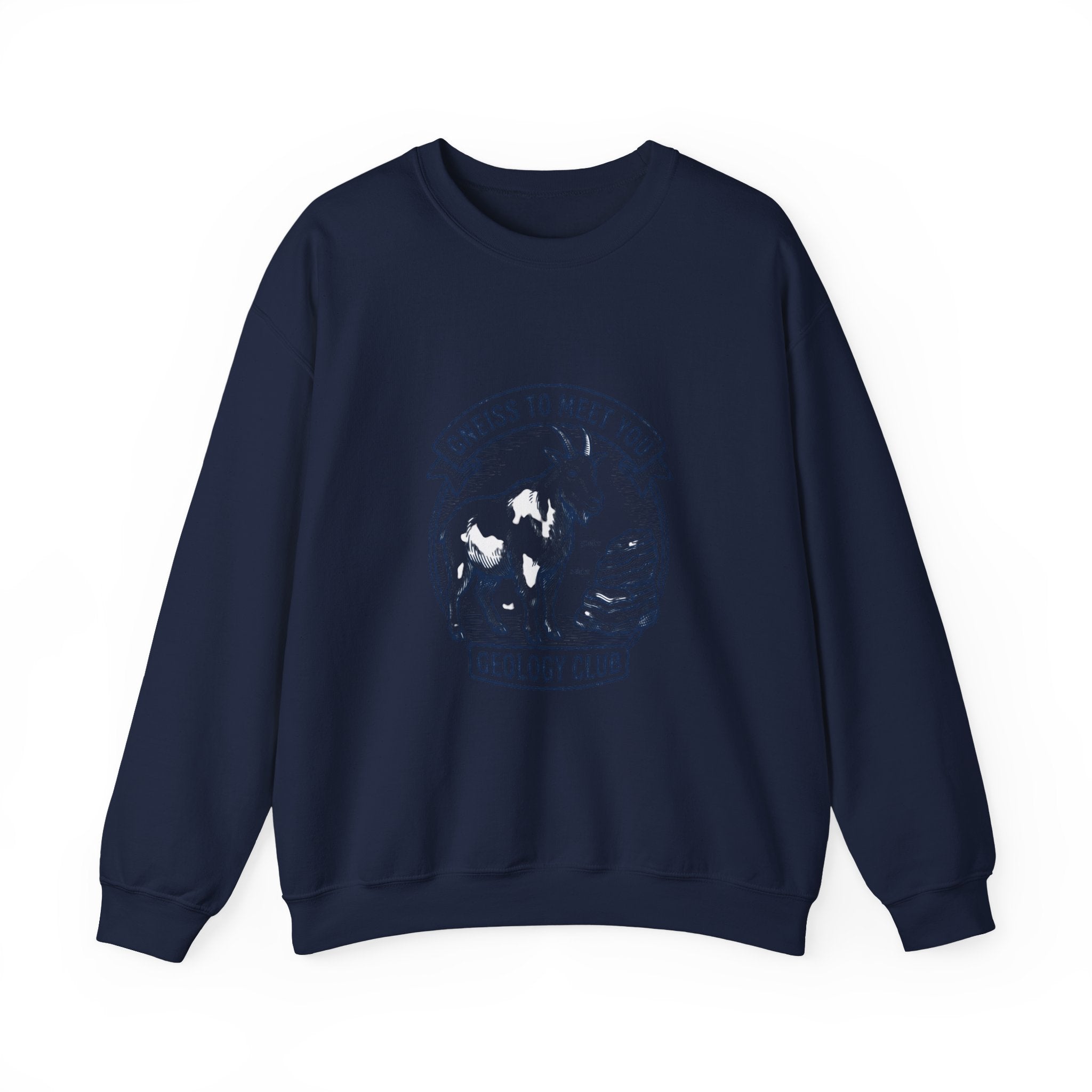 Gneiss to Meet You Geology Club Sweatshirt | Science Humor, Geology