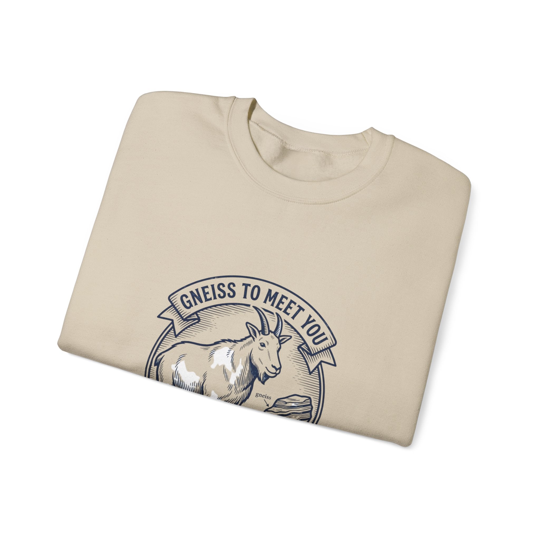 Gneiss to Meet You Geology Club Sweatshirt | Science Humor, Geology