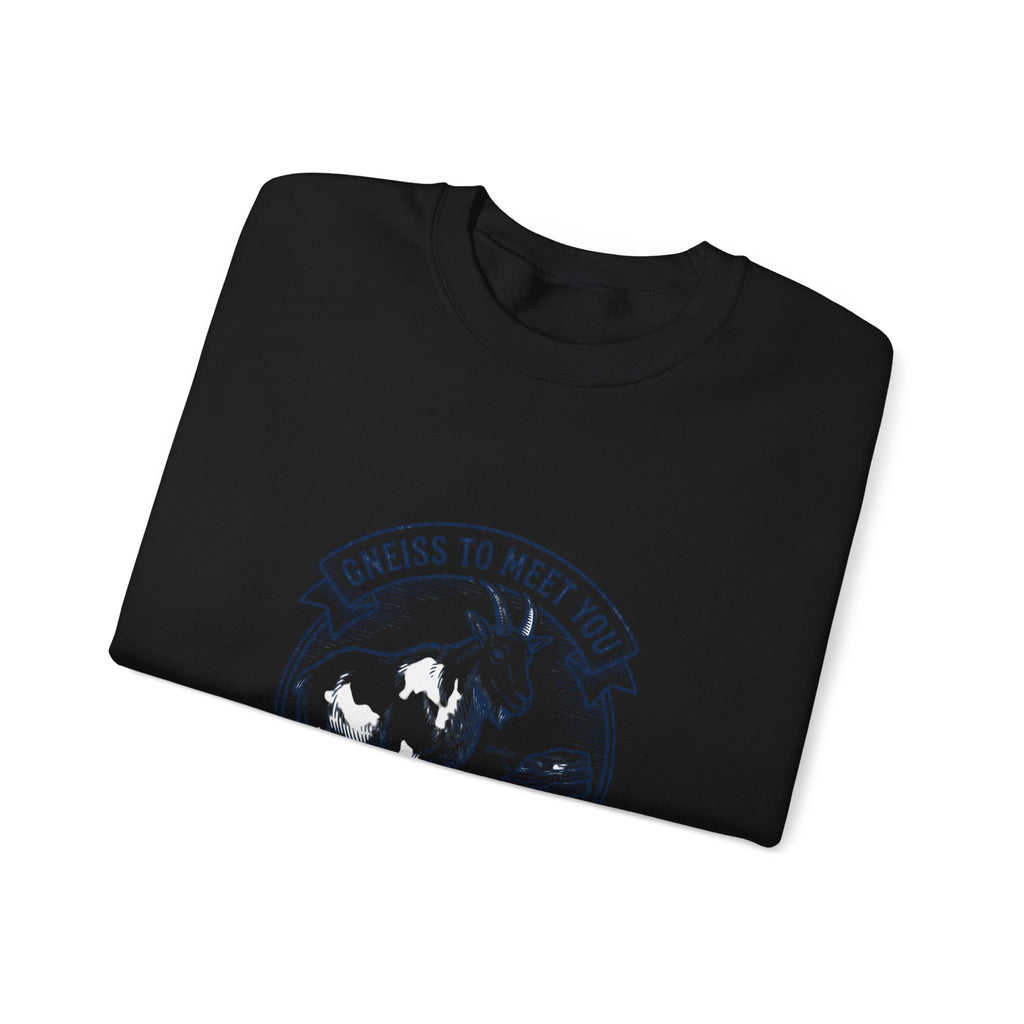 Gneiss to Meet You Geology Club Sweatshirt | Science Humor, Geology