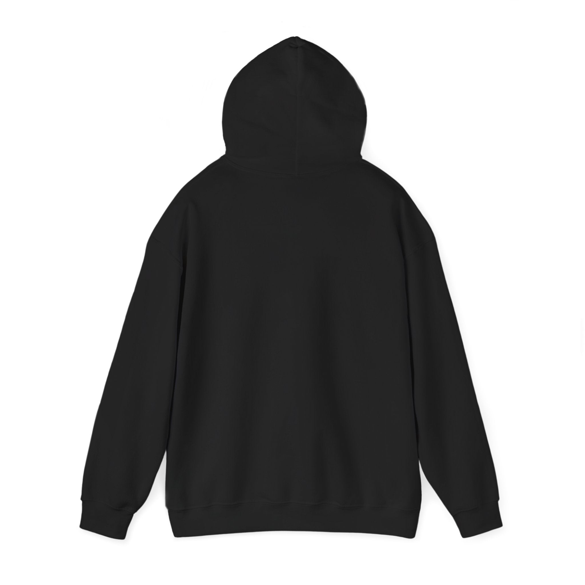Chronic But Iconic Hoodie | Disability Pride Month, Accessible Visibility