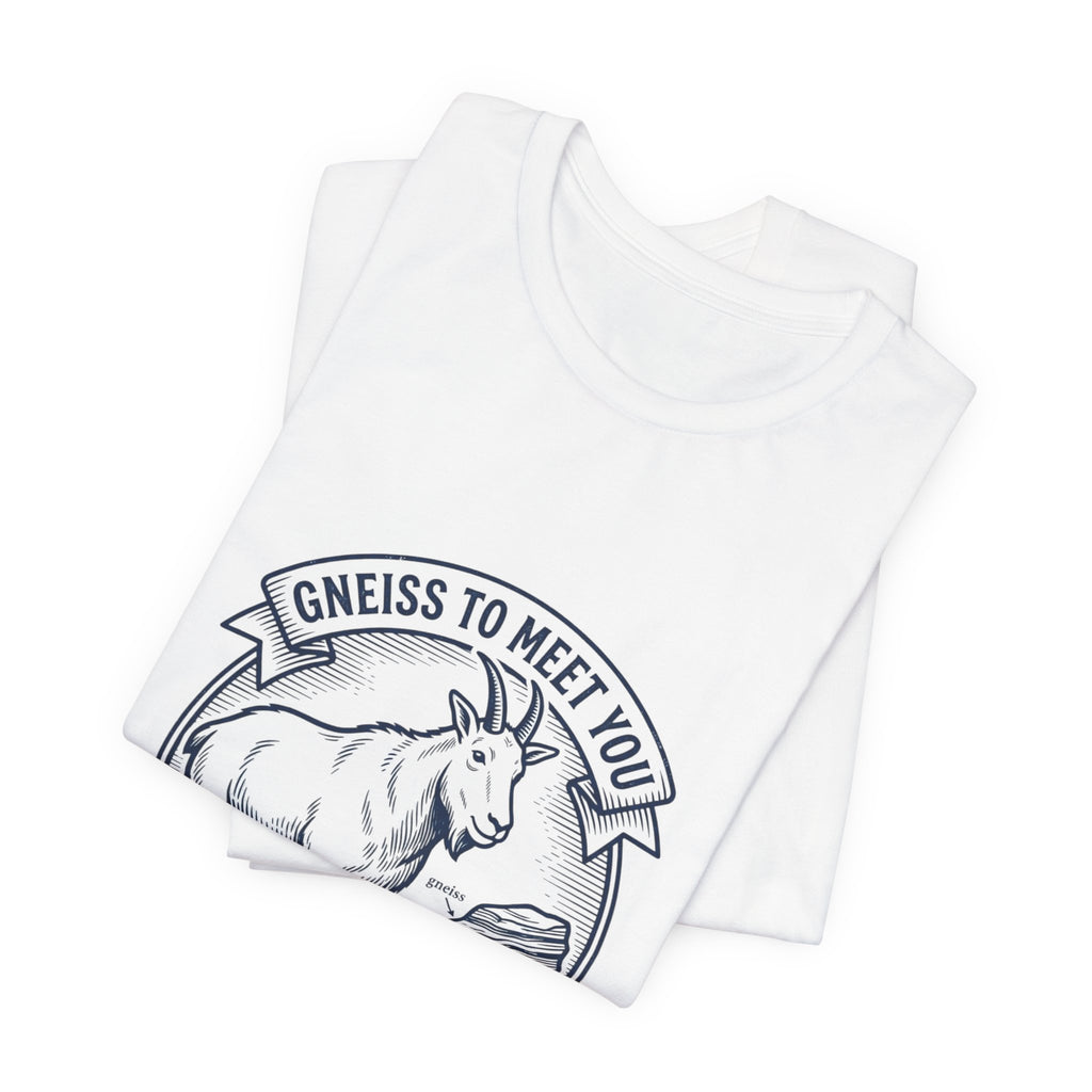 Gneiss To Meet You Geology Club Tee | Science Humor, Rock Pun