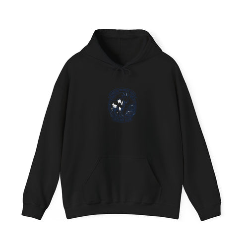 Chemistry Pun Hoodie | Science Humor, Lab Joke Sweatshirt