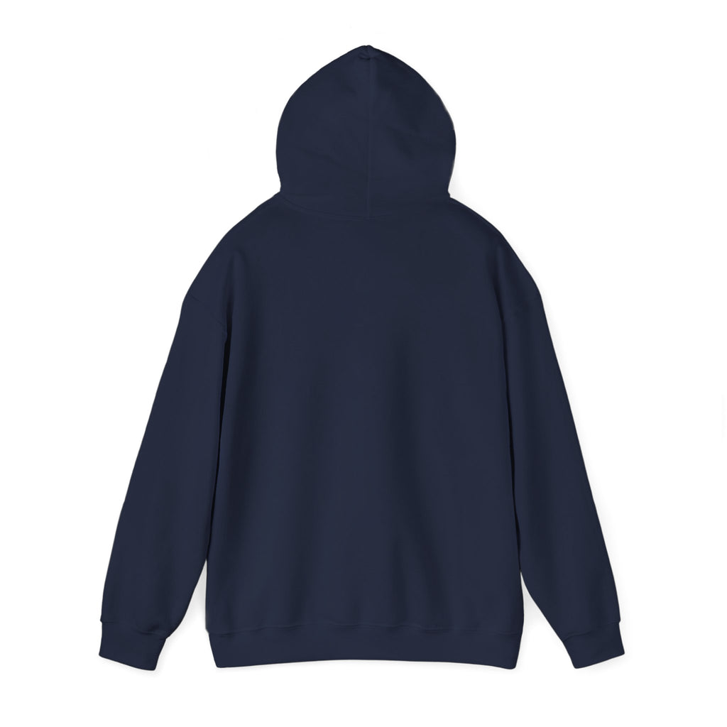 Accessibility Pride hoodie | Disability Pride Month, inclusive visibility