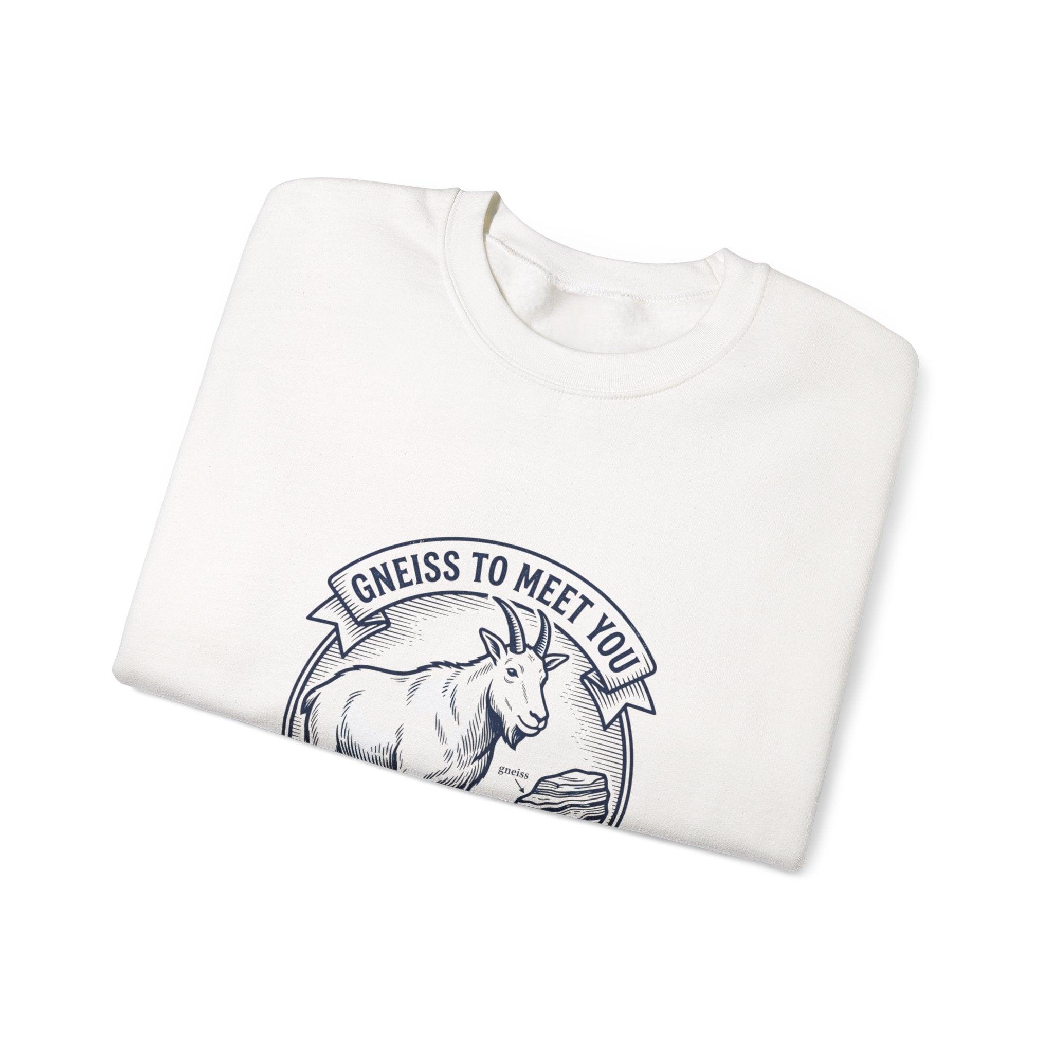 Gneiss to Meet You Geology Club Sweatshirt | Science Humor, Geology