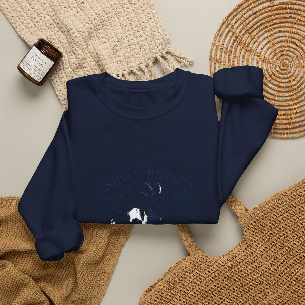 Gneiss to Meet You Geology Club Sweatshirt | Science Humor, Geology