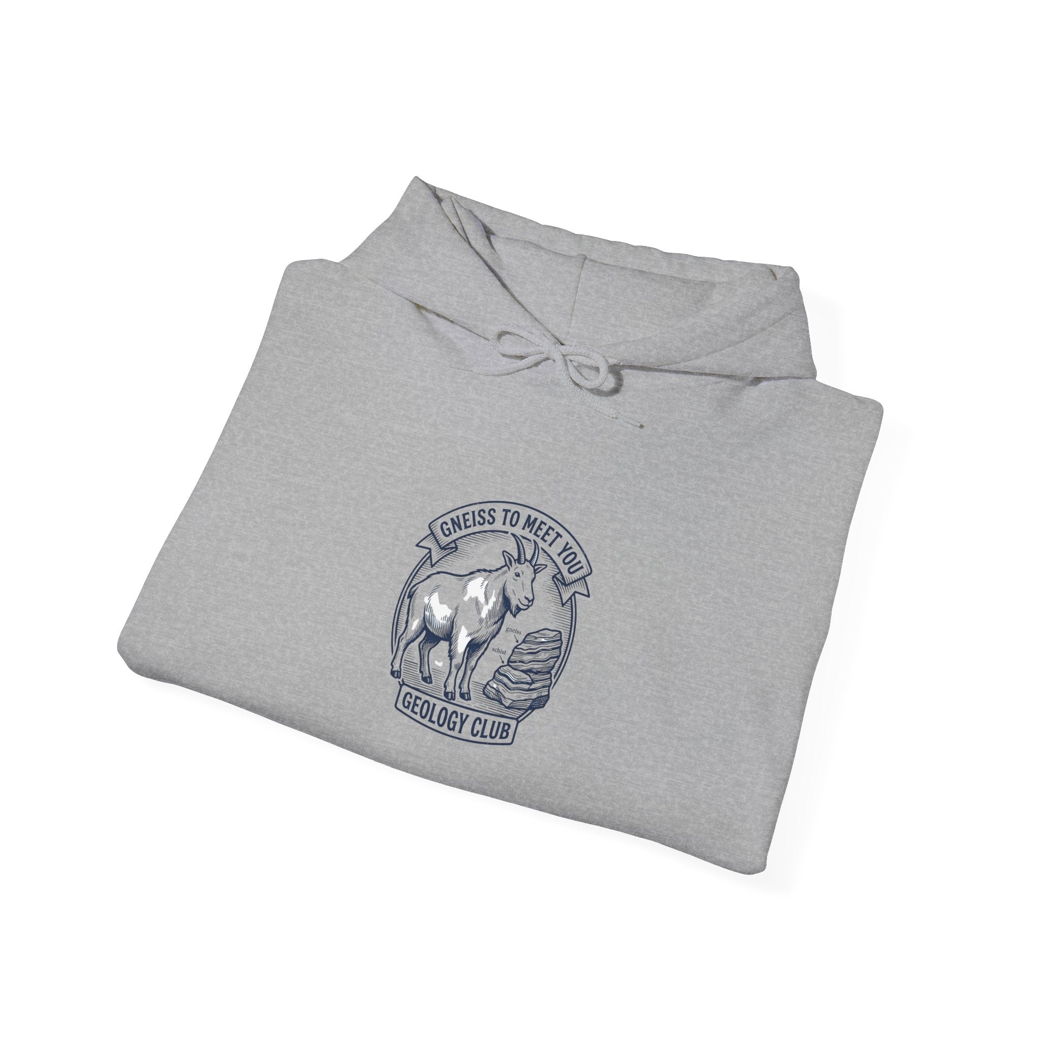 Chemistry Pun Hoodie | Science Humor, Lab Joke Sweatshirt