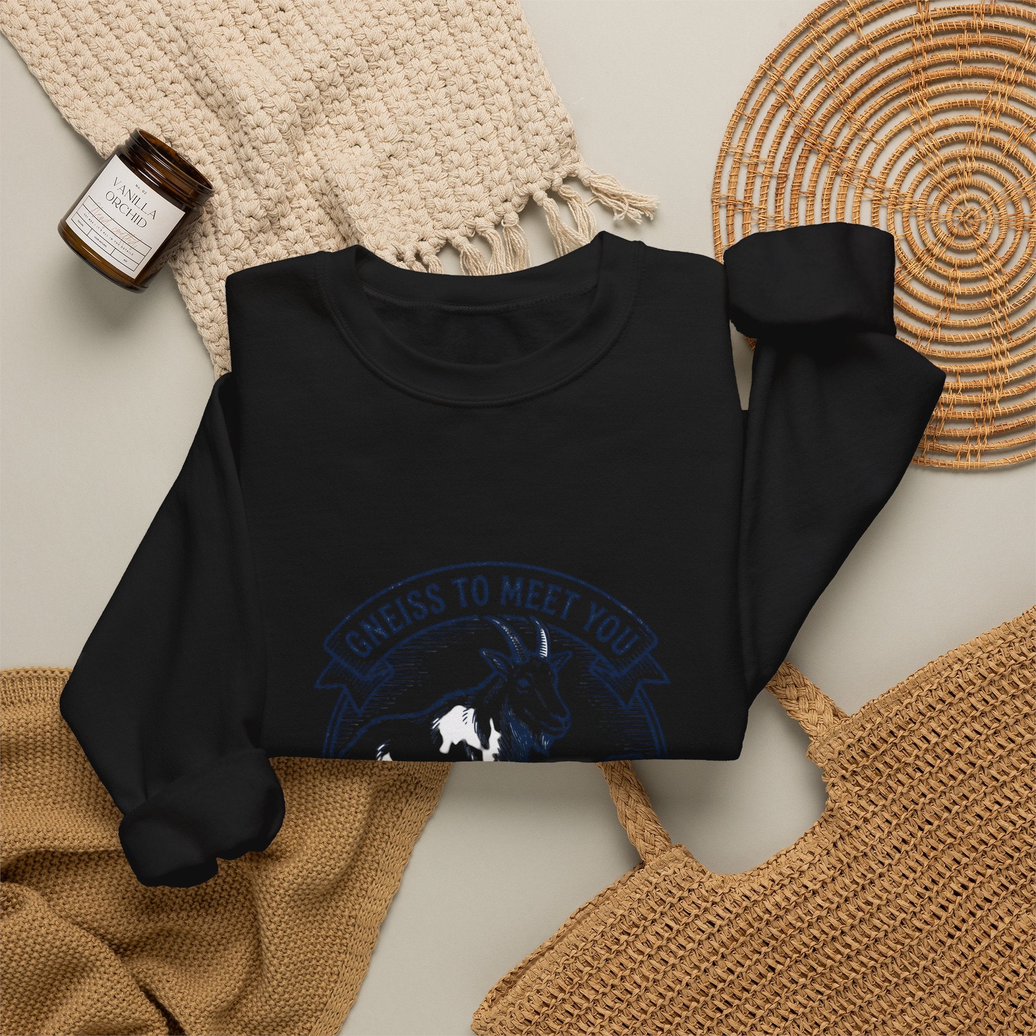 Gneiss to Meet You Geology Club Sweatshirt | Science Humor, Geology
