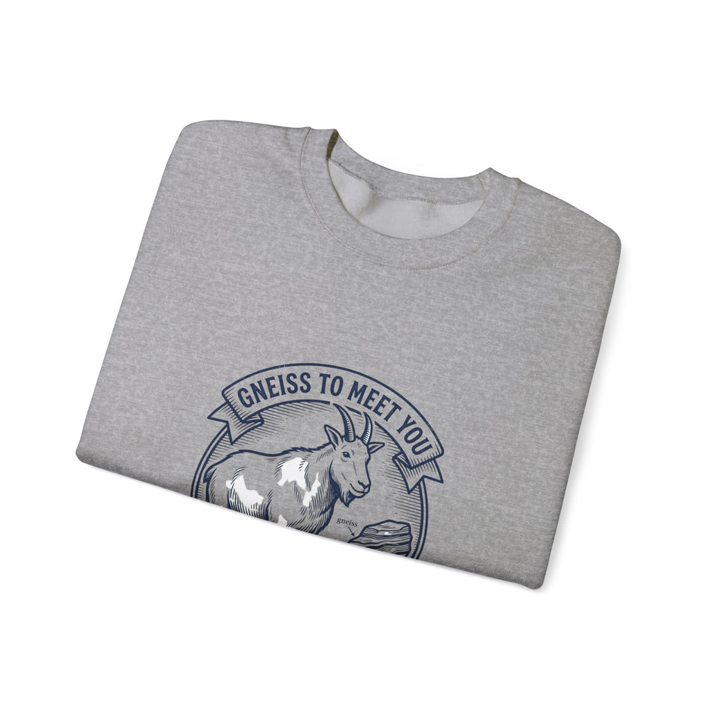 Gneiss to Meet You Geology Club Sweatshirt | Science Humor, Geology
