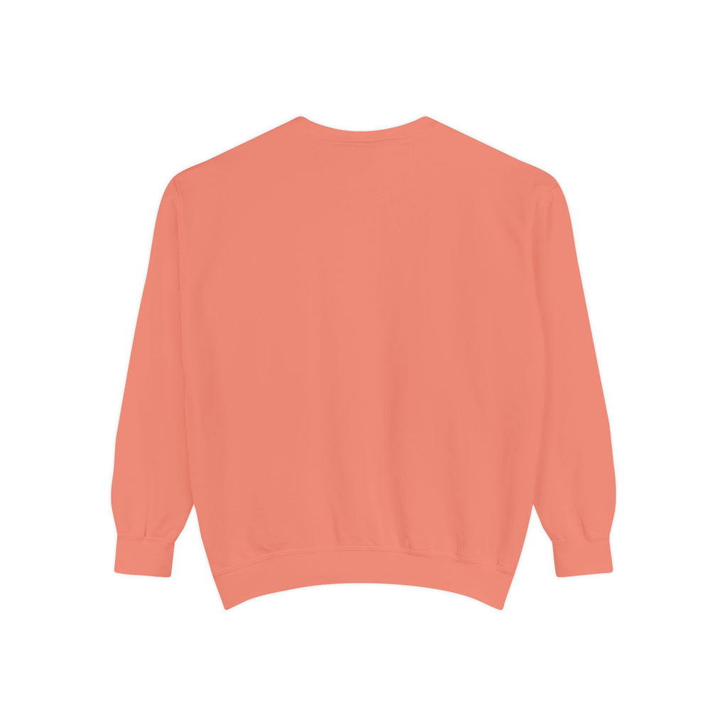 Coral sweatshirt on a white background