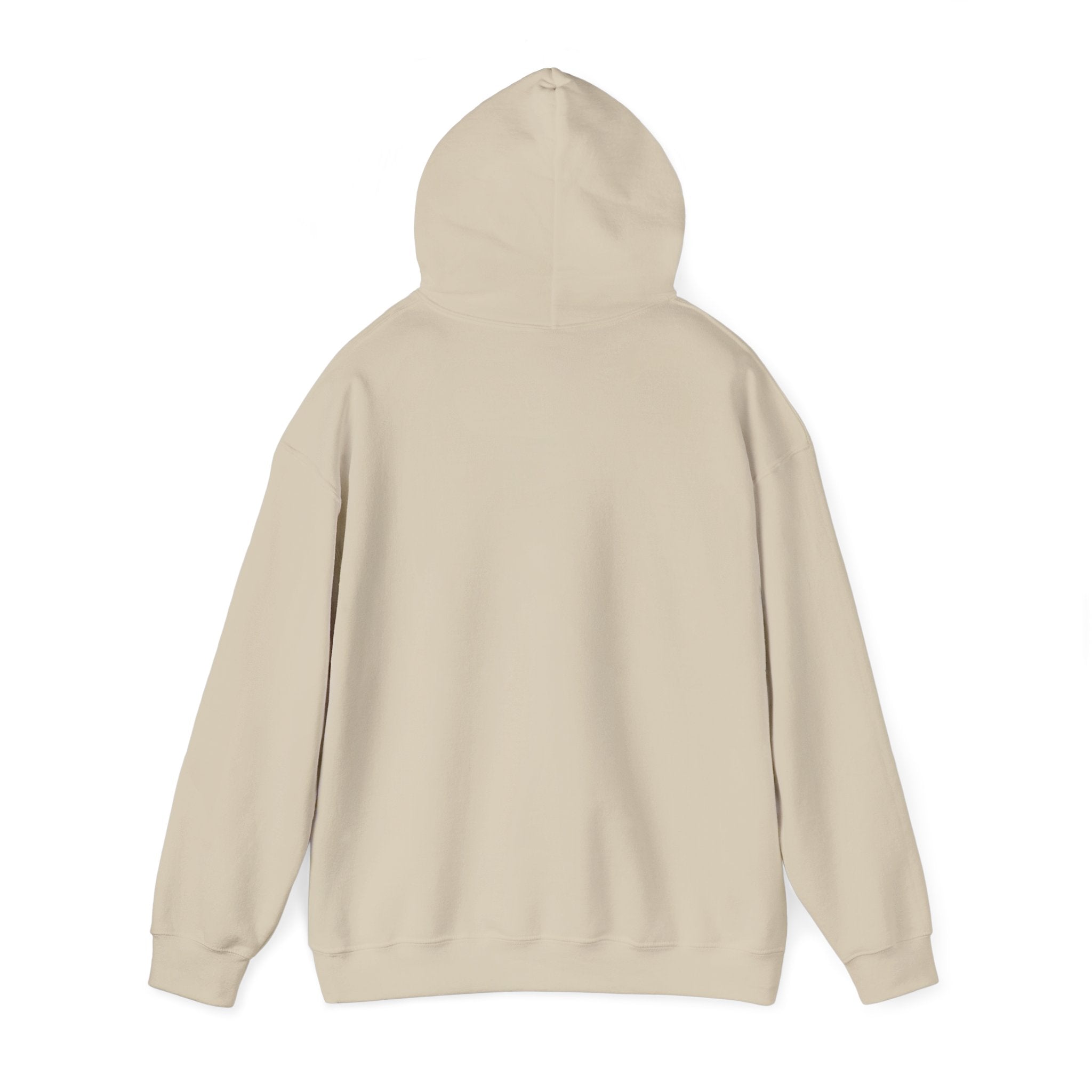 God Confidence hoodie | Christian rainbow scripture style, playful mixed-font