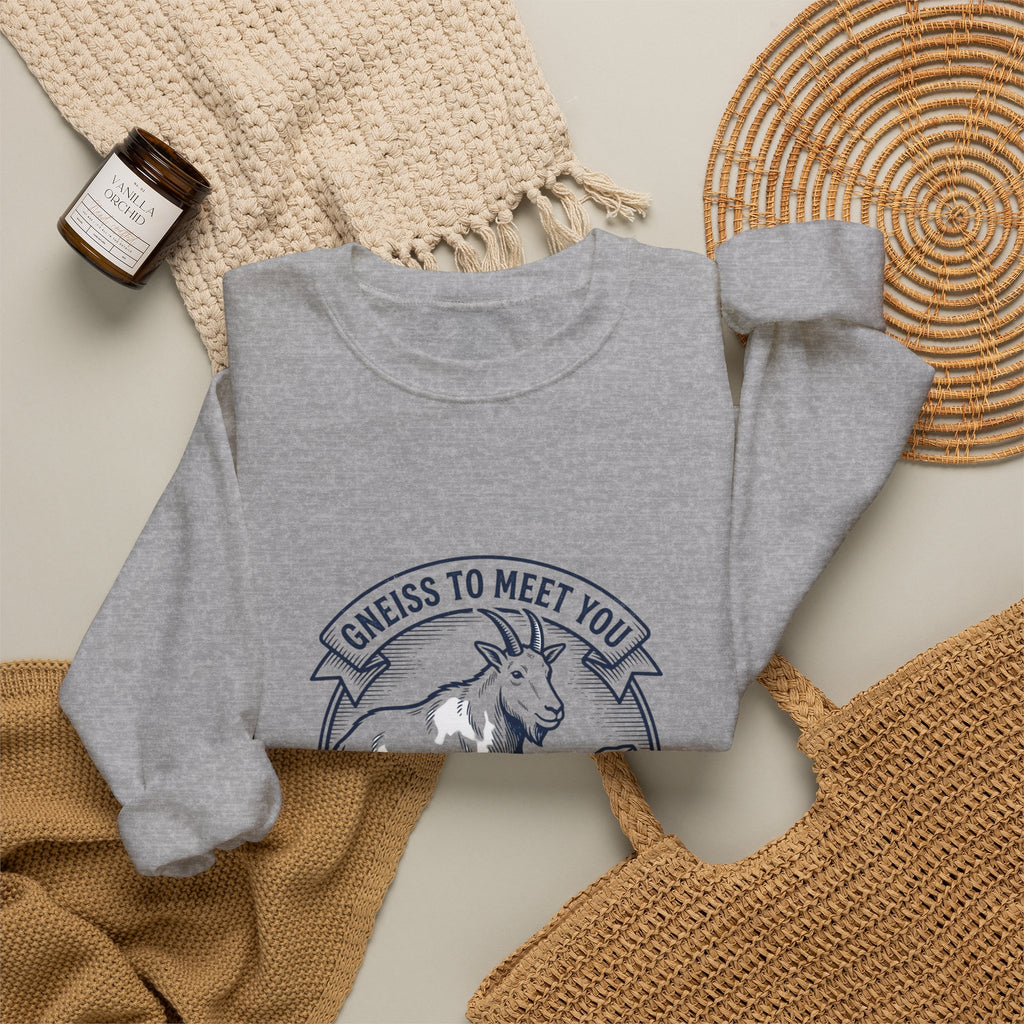 Gneiss to Meet You Geology Club Sweatshirt | Science Humor, Geology