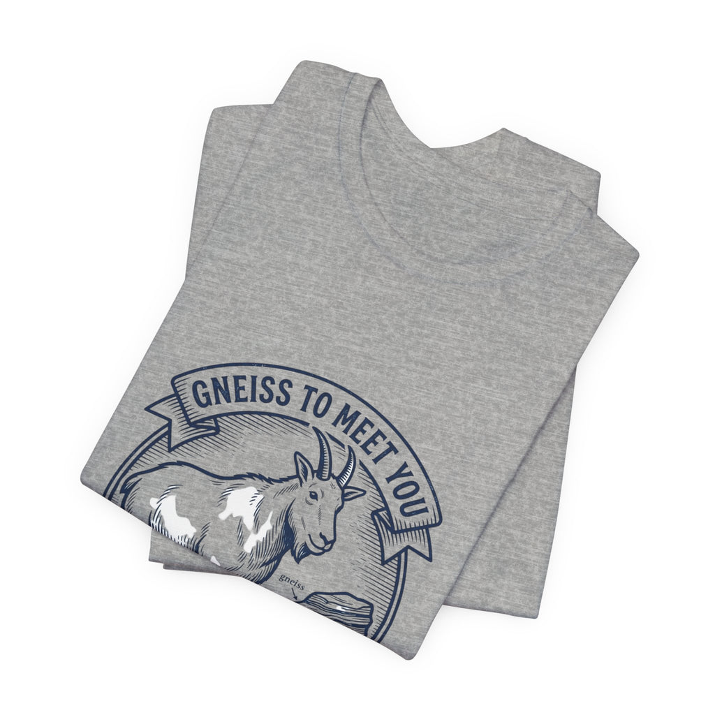 Gneiss To Meet You Geology Club Tee | Science Humor, Rock Pun
