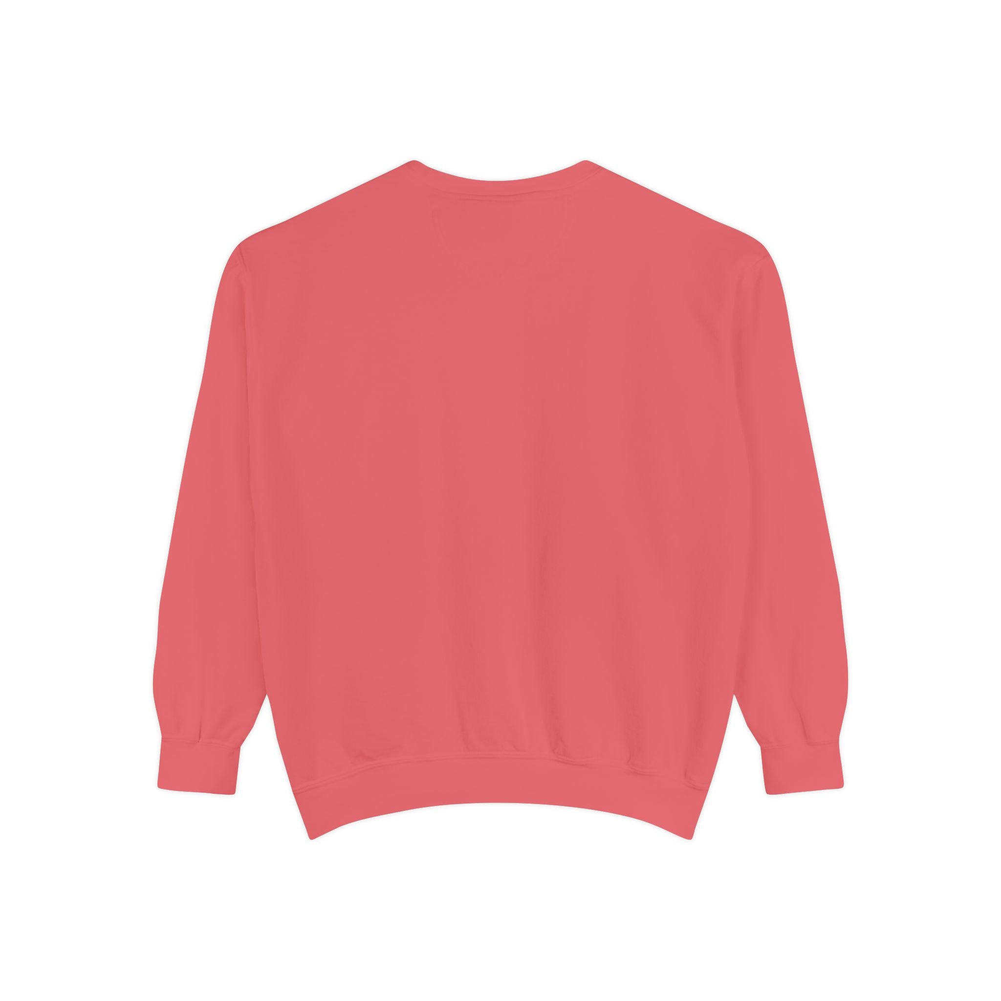 Red sweatshirt on a white background