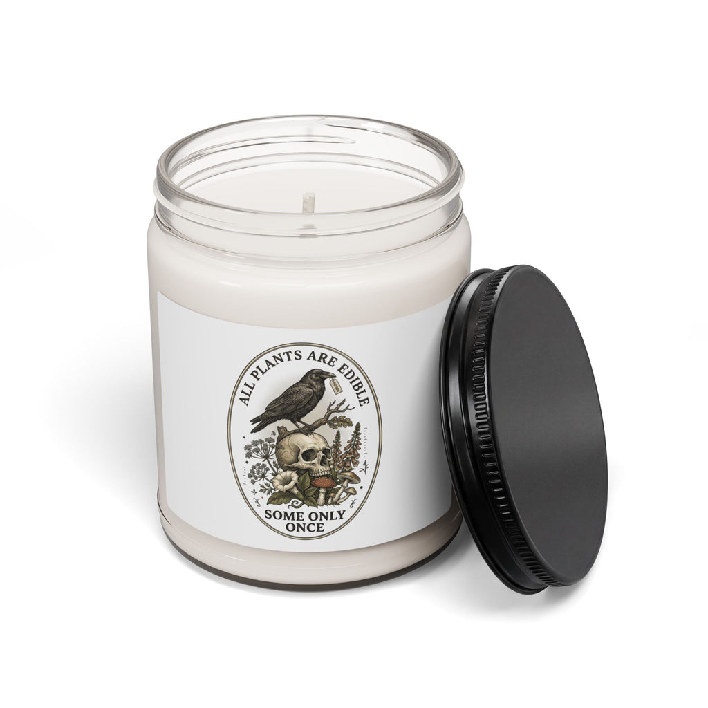 Scented Soy Candle, 9oz