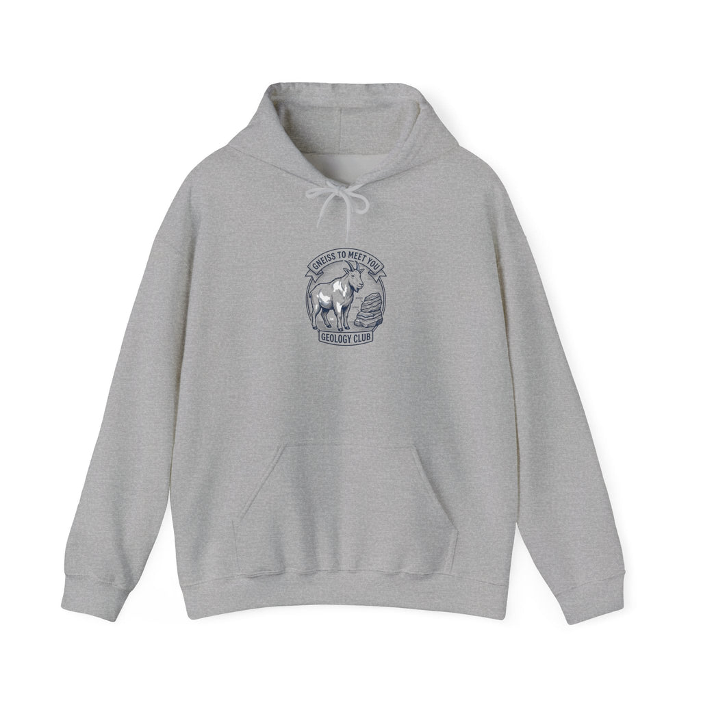 Chemistry Pun Hoodie | Science Humor, Lab Joke Sweatshirt - Velqono