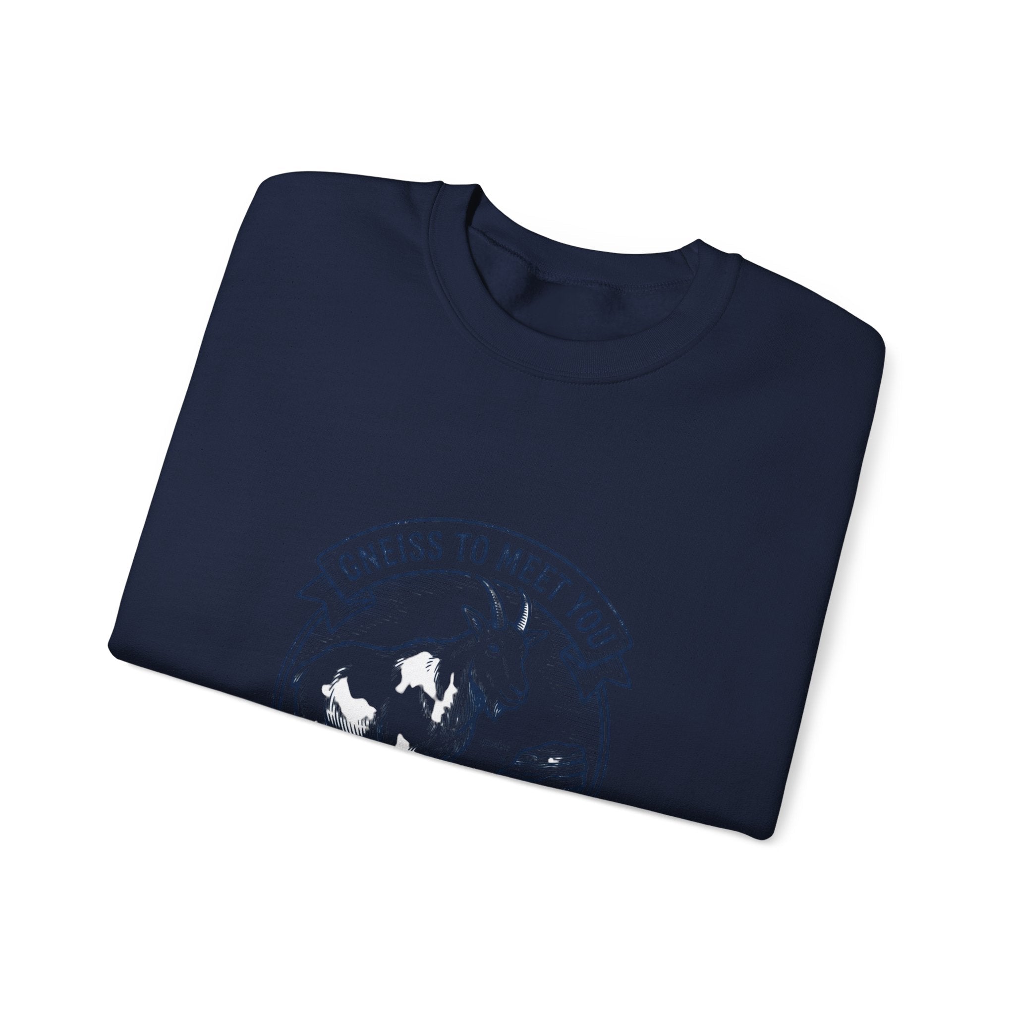 Gneiss to Meet You Geology Club Sweatshirt | Science Humor, Geology - Velqono