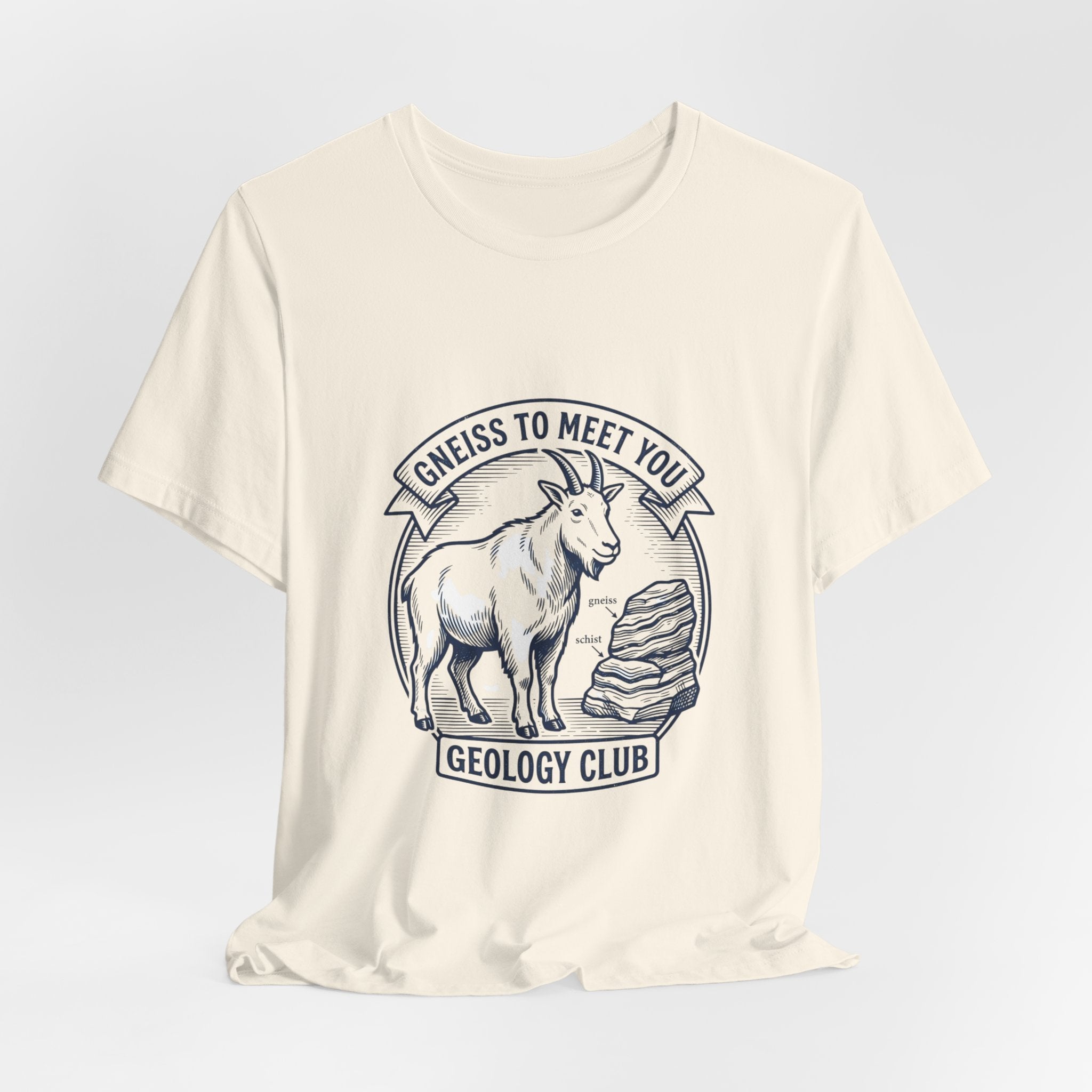 Gneiss To Meet You Geology Club Tee | Science Humor, Rock Pun - Velqono