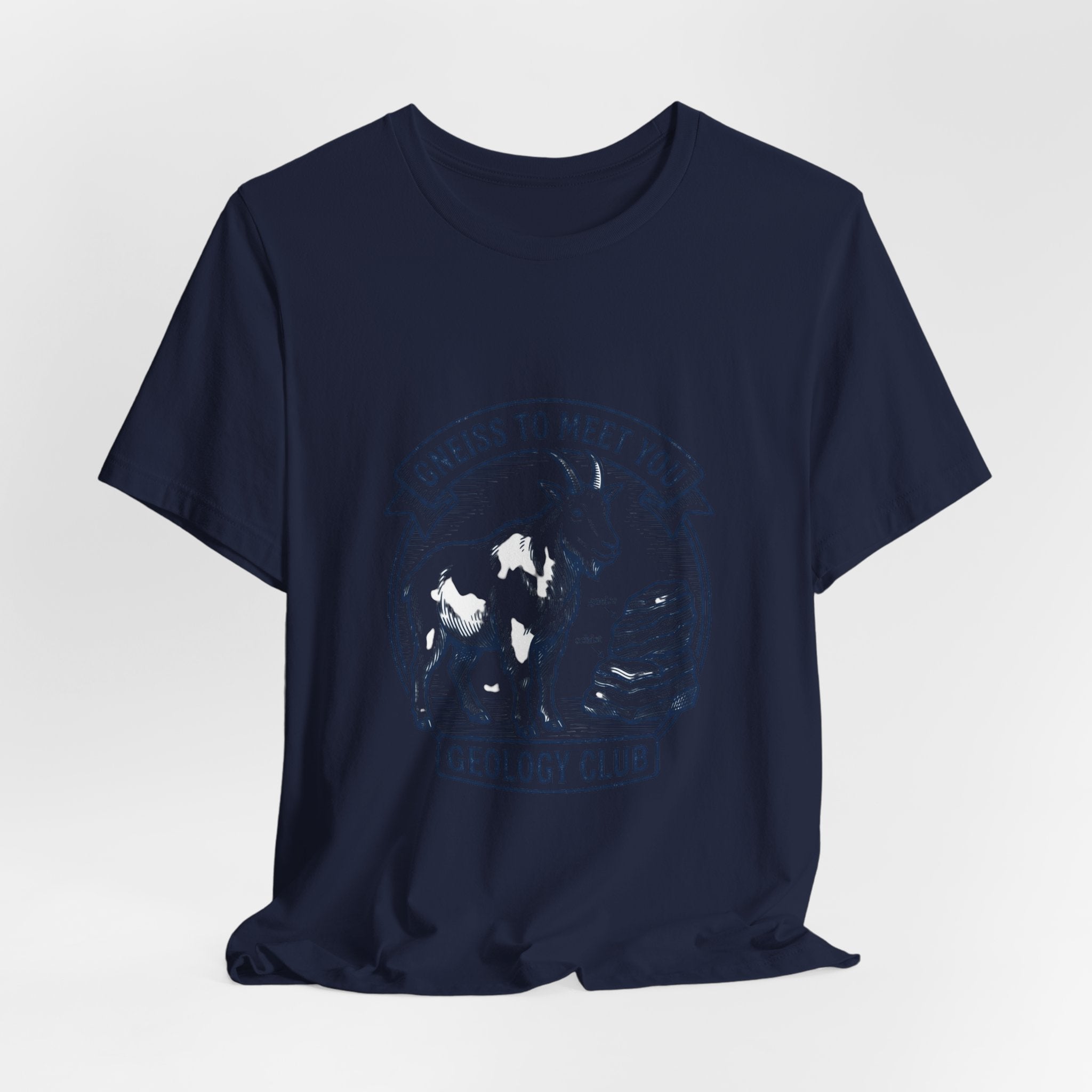 Gneiss To Meet You Geology Club Tee | Science Humor, Rock Pun - Velqono