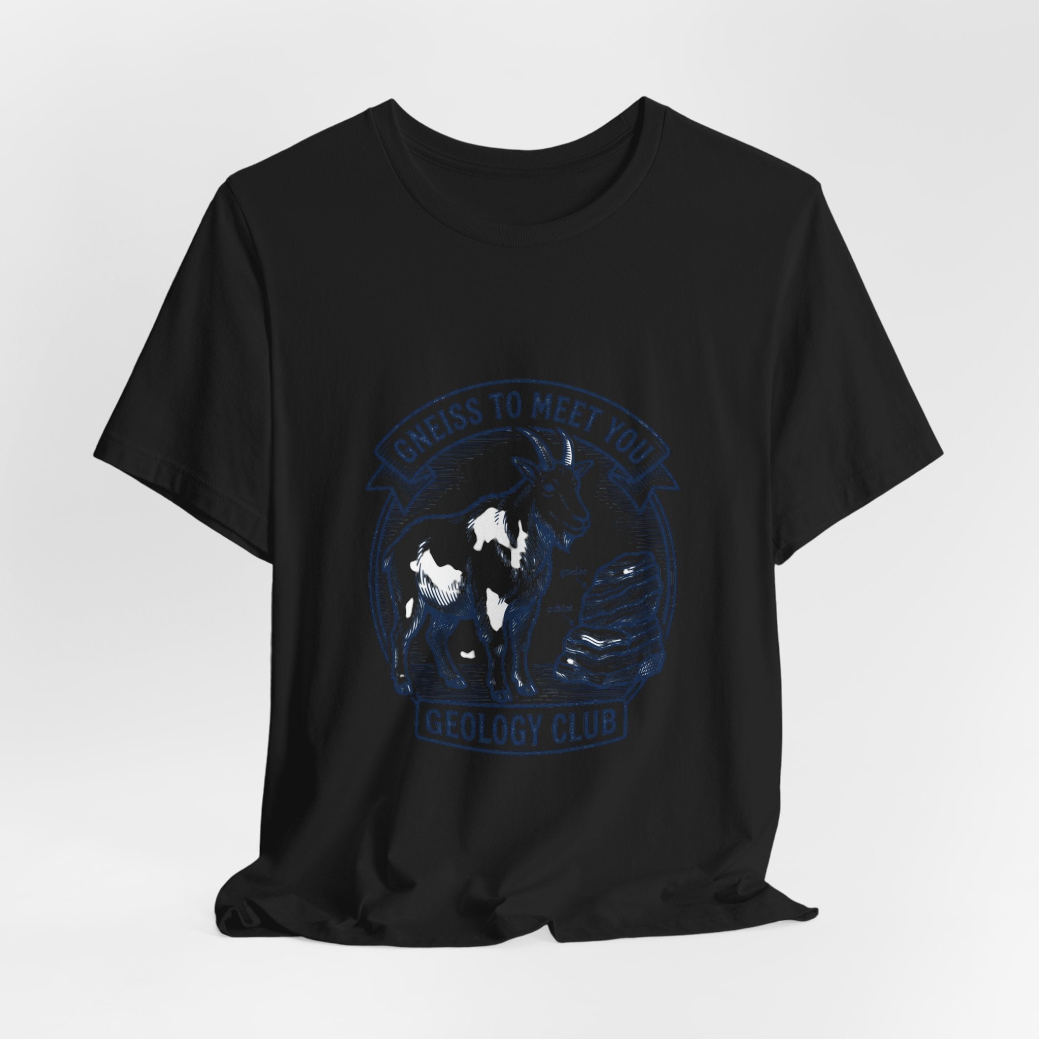 Gneiss To Meet You Geology Club Tee | Science Humor, Rock Pun - Velqono