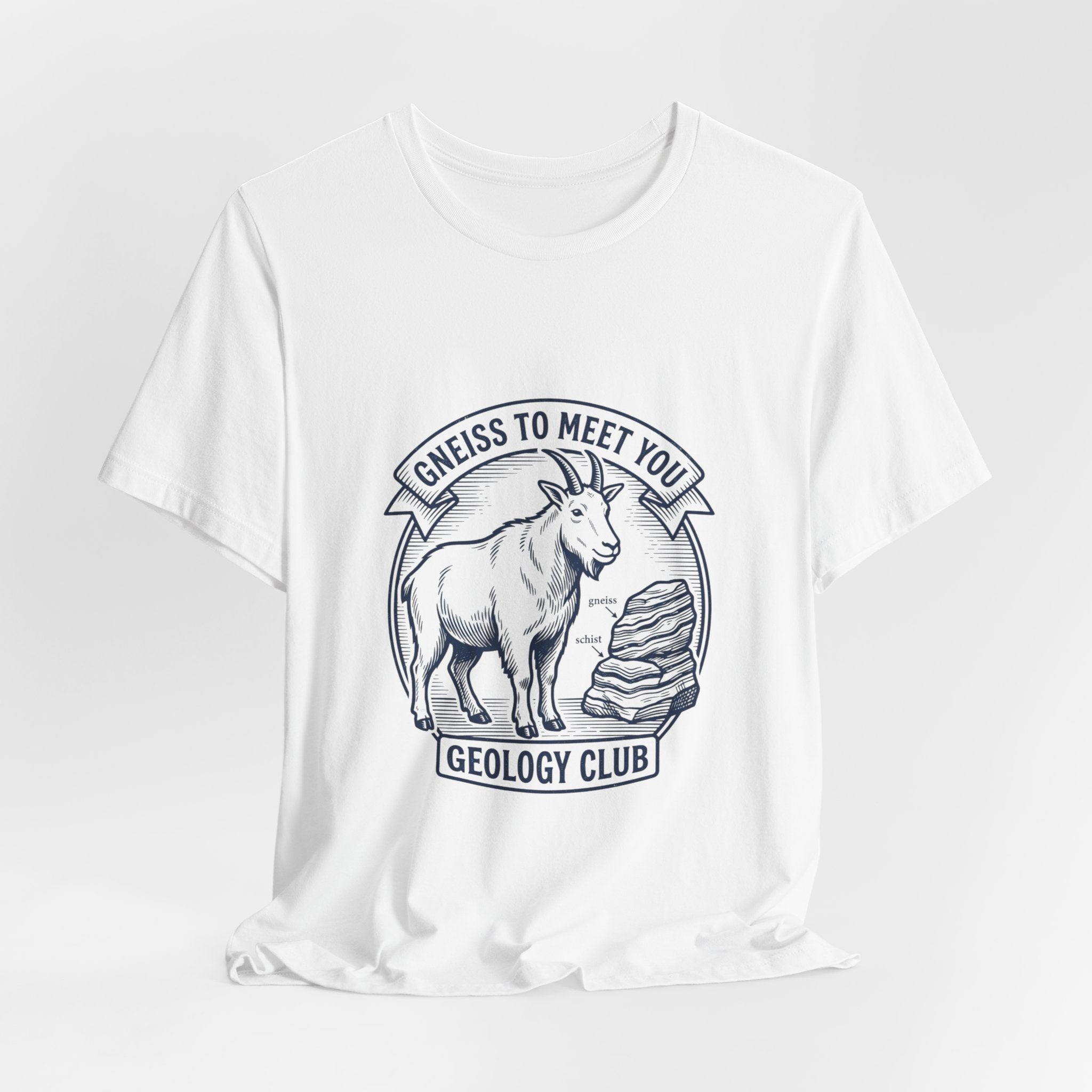 Gneiss To Meet You Geology Club Tee | Science Humor, Rock Pun - Velqono