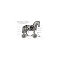 Trojan Horse Diagram Kiss-Cut Stickers | Greek Mythology, Mythcore - Velqono
